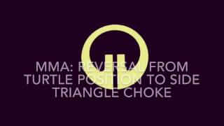 Reversal from Turtle Position, Side Triangle Choke - IFA ACADEMY Austin MMA