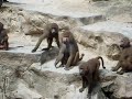 Middle of video