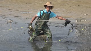 把堂哥的鱼塘抽干水后一片大鱼躲进泥巴里抓几箩筐鱼溅得满脸都是泥