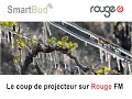 Smart bud sur rouge fm