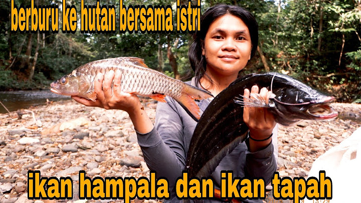 KE HUTAN BERSAMA ISTRI BERBURU IKAN DAPAT IKAN TAPAH DAN HAMPALA YANG BESAR