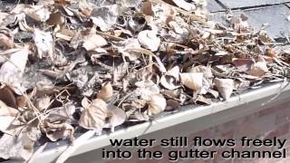Rigdon Gutter RX