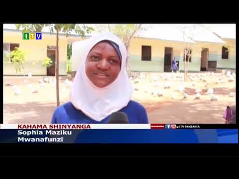 Ufaulu Waongezeka Shule Ya Msingi NUJA Kahama 