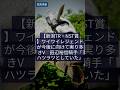 【最新競馬情報】8/16 【新潟7R・NST賞】ワイワイレジェンドが今後に向けて実り多きV 田辺裕信騎手「ハツラツとしていた」 #Shorts