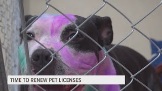 Attention, Des Moines pet owners: Renew your license for your furry friend
