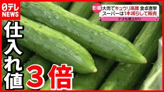 【値上がり】大雨の影響  きゅうり・ナスが高騰