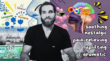 Terpenes and Cannabis: An Overview!