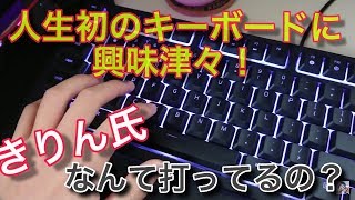 きりんさんがキーボードを買ったらしい！