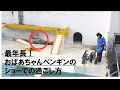 何もせずショーをやりすごす「フンボルトペンギン」