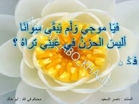 أنشودة رحلت إلى بحار العشق ناصر السعيد 