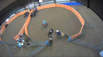 Big Sky Ranch Sorting Saddle Series #2 - #10 H/C - Round #1 - Ride #28