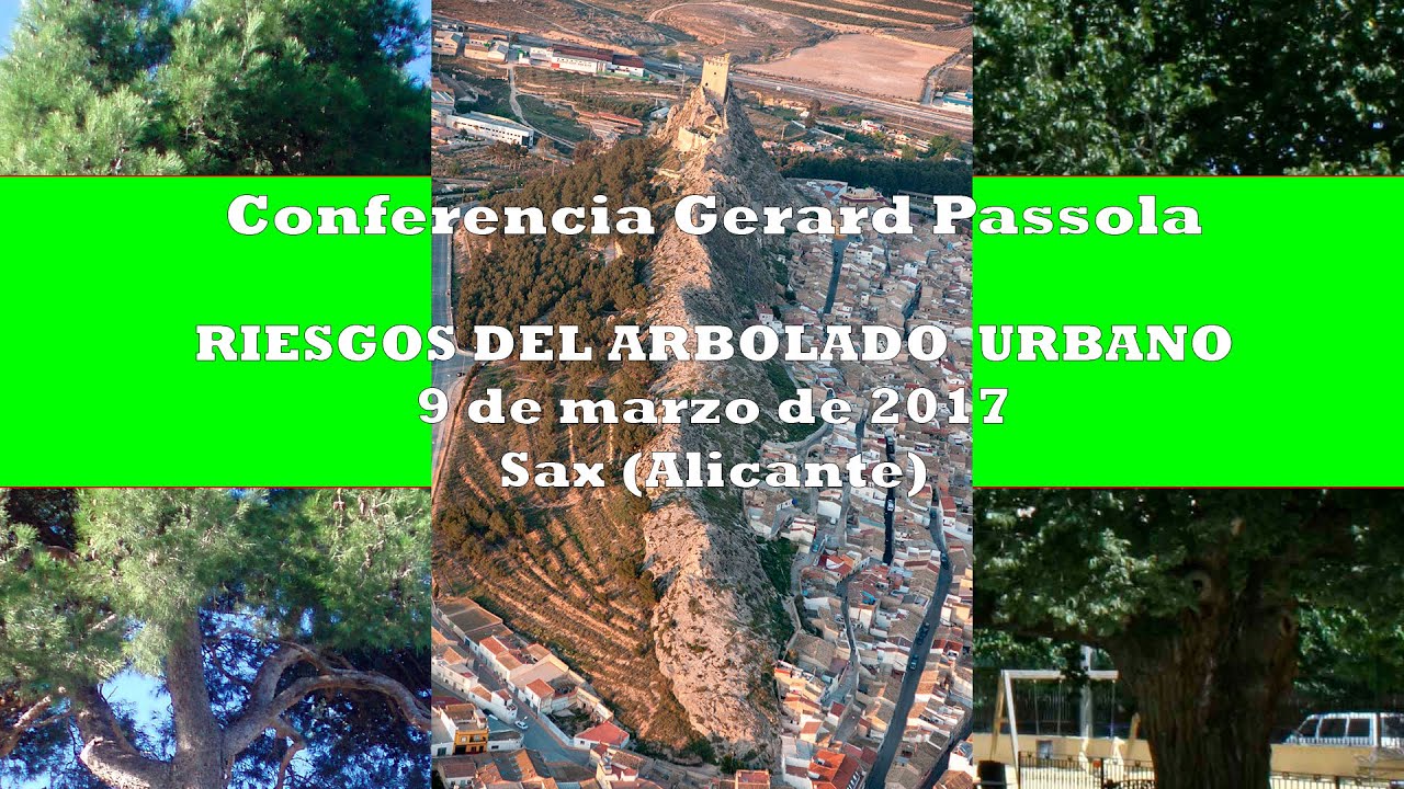 Riesgo del arbolado urbano: Conferencia de Gerard Passola