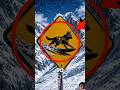 DON'T PANIC IF YOU SEE THIS DOG SIGN😱#trending #viral #shorts