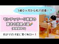 【０歳〜１歳】モンテッソーリ教育、驚きの効果４選。我が家が実際に感じた効果についてシェアします。