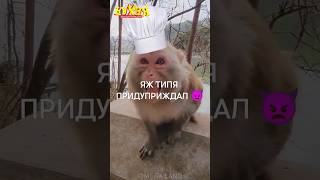 Новая Серия Кухни? 😳 #Кухня #Шеф #Побег #Monkey #Team #Omega #Роблокс #А4 #Врек #Топчарт #Легенда