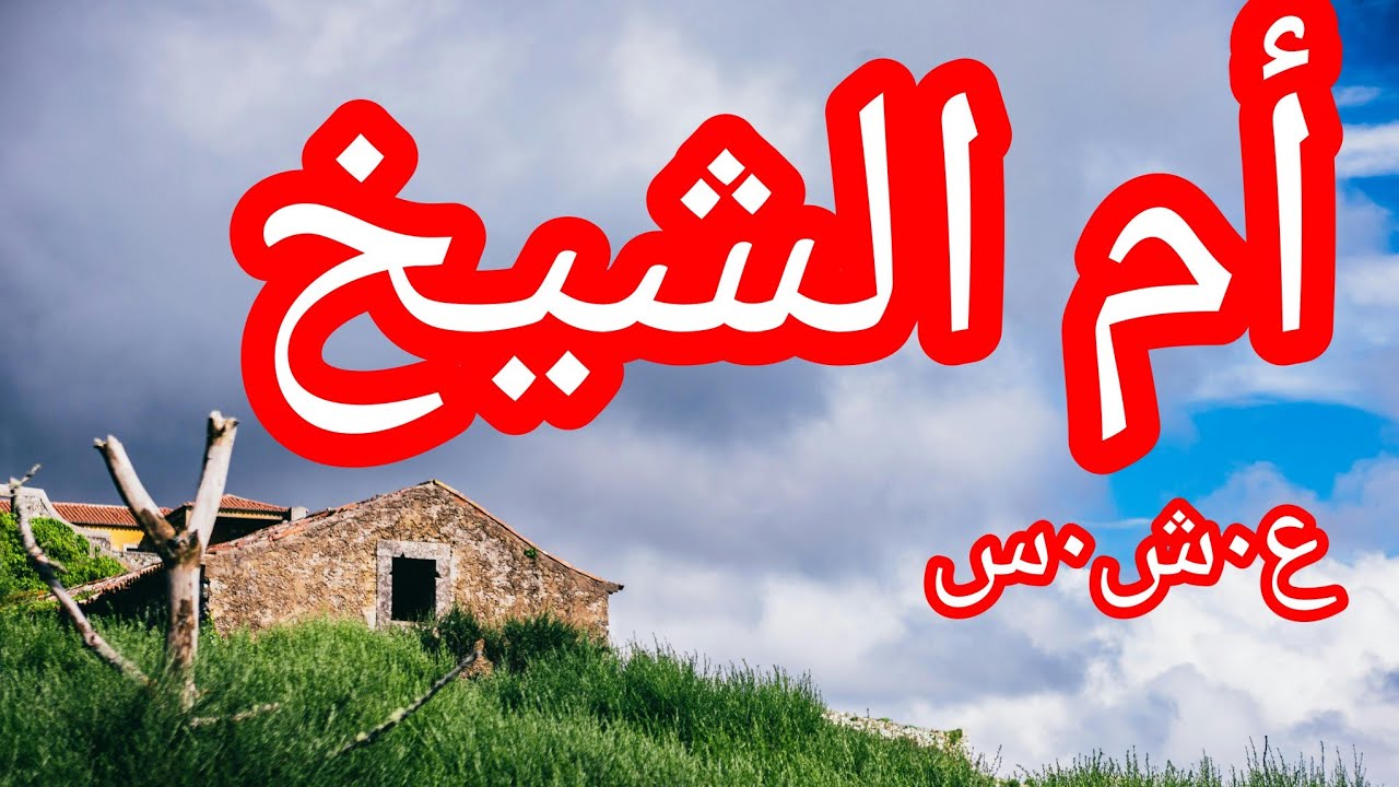من افضع وابشع حكايات الع___شرية الس___وداء.......