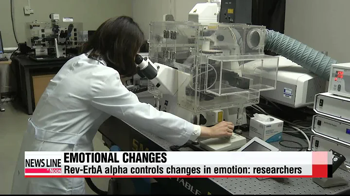 Korean researchers find cause behind emotional disorders