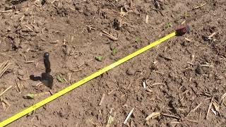 2018 Corn Stand Evaluation