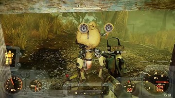 Mr. Squeeze, Fallout 76