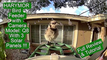 HARYMOR Q8 Bird Feeder with Camera, AI Bird Detection, 3 Solar Panels! Unboxing and Review Tutorial
