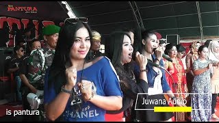 ALBUM Live BANDARHARJO SEMARANG New PANTURA 24 Nov 2018