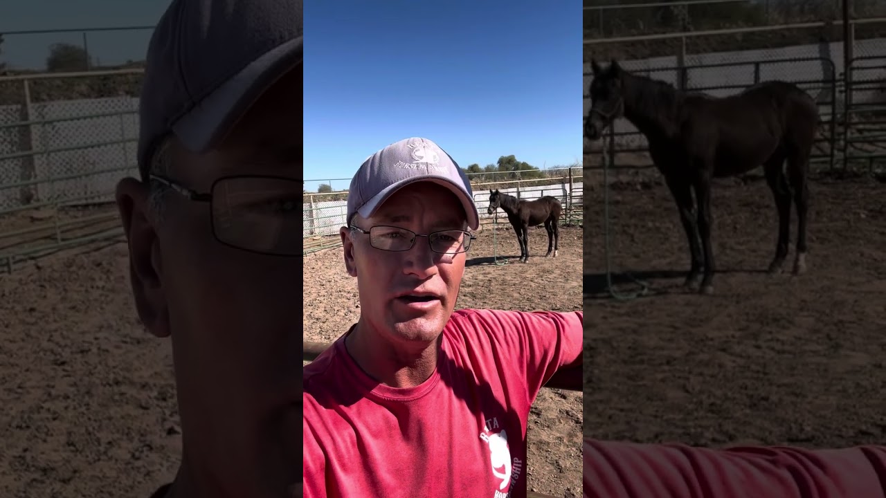 Training Tip Tuesday!  Start ‘em young!