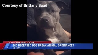 Did the dog break a city animal ordinance?