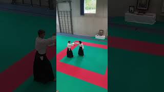 IMG 3568