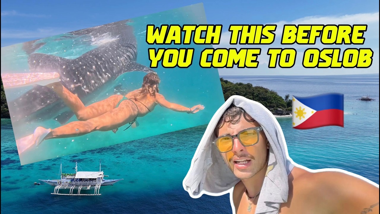 the ultimate Oslob guide