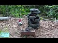 Massachusetts Bird Feeder & Wildlife Cam!
