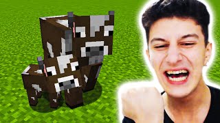 BEBEK İNEK DOĞDU ❤️ Minecraft 14