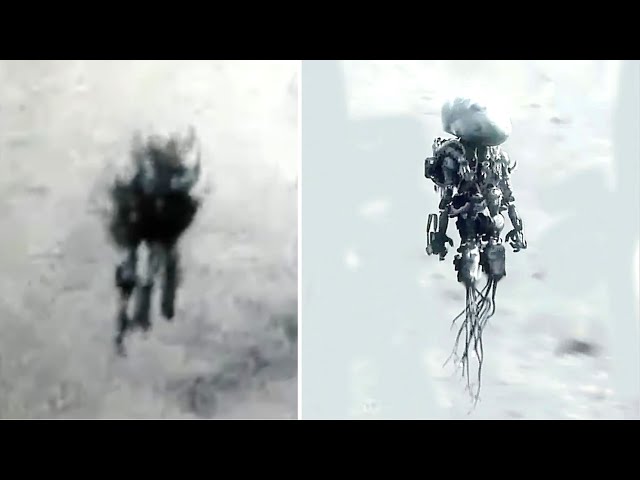 This U.S. Insider Just Responded To The Jellyfish UFO & Sent Out This Message To The American People - YouTube