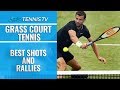 Best ATP Grass Court Shots And Rallies!