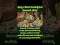 #shortsfeeds #shorts #bangalore #mysore #mangaluru #kochi #hyderabad #pune #chennai #mumbai #hubli