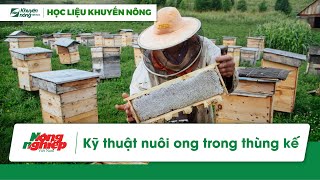 Hướng dẫn nuôi ong trên thùng kế