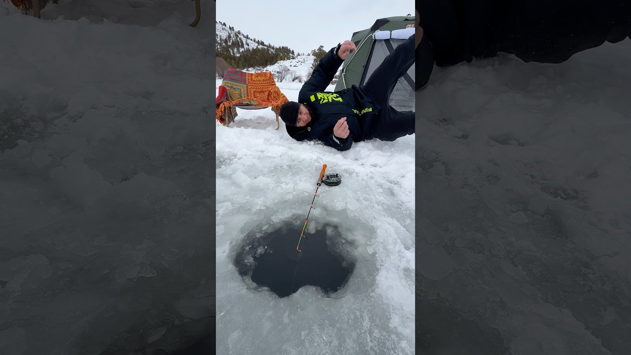 #cooking #outdoors #carpfishing #top #fishing #usa #food #carp #shorts #kazakhstan #almaty