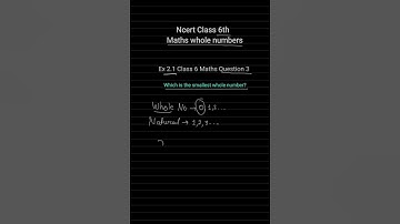 Which is the smallest whole number? Class 6 Exercise 2.1 Question 3