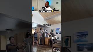 Cat got hops