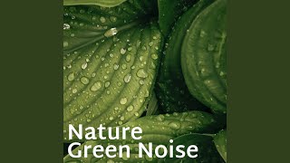 Nature's Chorus - Loopable, No Fade