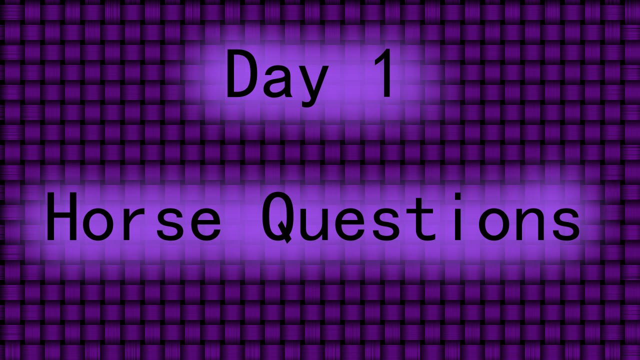 Horse Questions - Day 1