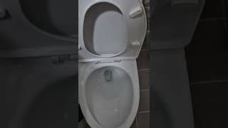 188.DAELIM old toilet flushing