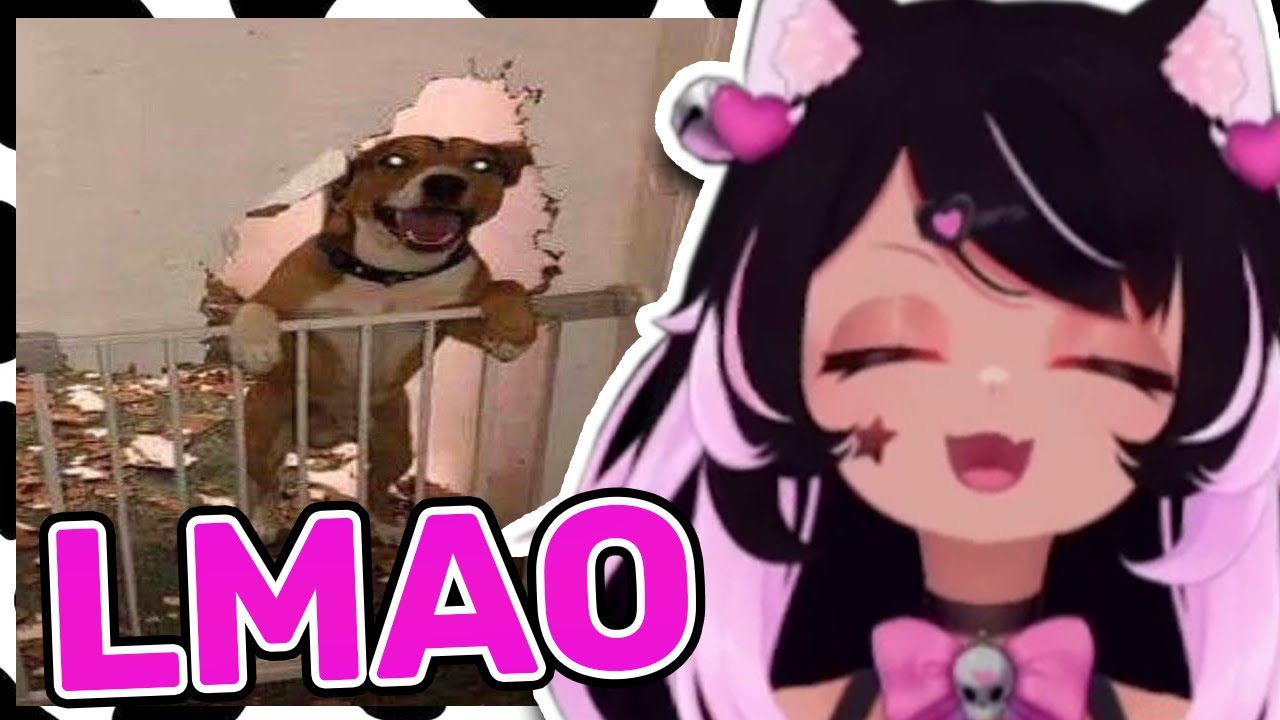 Mousey Can you watch without laughing? Try it