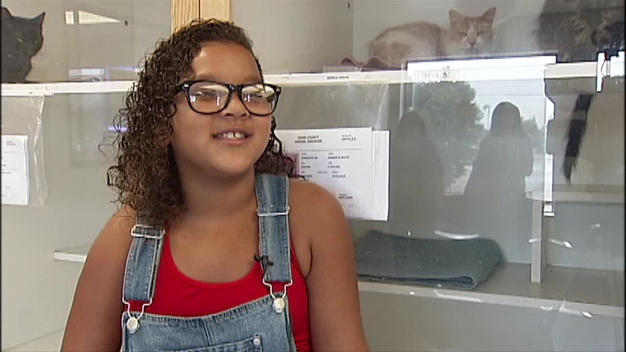 Justyce Dixon started dog walking service to donate to local shelter