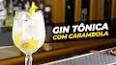 Видео по запросу "Receitas de gin com especiarias"