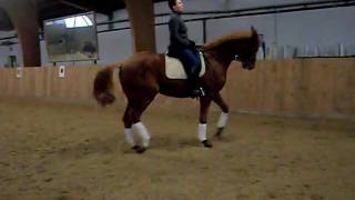 SDC12461.AVI