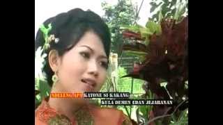 Download Nining Livina Planga Plongo By Wonk Kendayakan Video MP3 Nining Livina Planga Plongo By Wonk Kendayakan