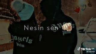 Şfetbeniöneçıkar