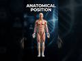 Anatomical Position in 20 Sec | Easy Anatomy for Nursing #shorts