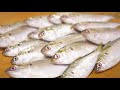 コハダのさばき方～酢じめと握りの作り方～How to fillet a Dotted gizzard shad and make sushi and sashimi.