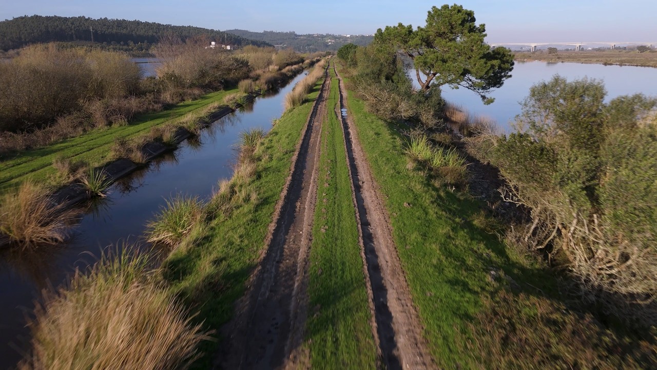 Relaxing music for cleaning your mind | One Summer Day · Joe Hisaishi